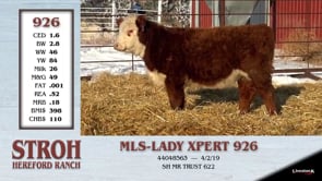Lot #926 - MLS - LADY XPERT 926