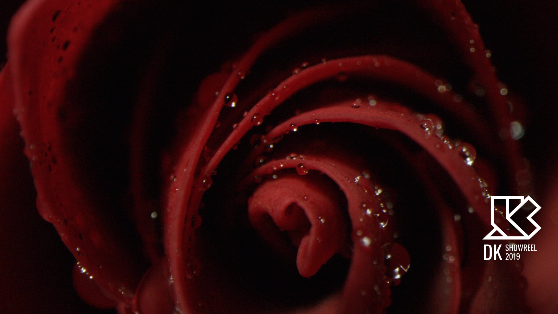DK Showreel 2019