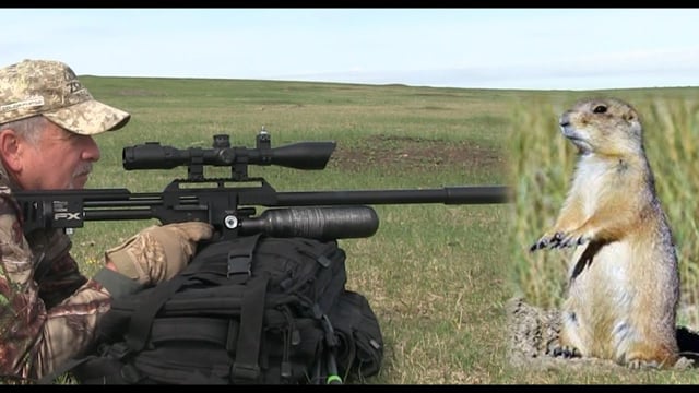 Airgun Hunting FX Impact Airgun Prairie Dog Hunt - Airgun101