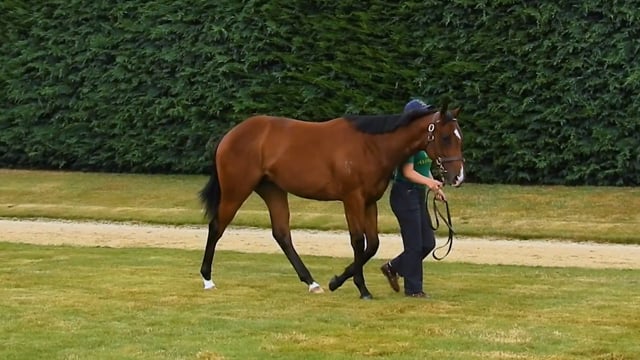 Lot 758