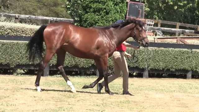 Lot 671