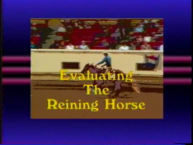Dale Wilkinson - Evaluating the Reining Horse - Part 1