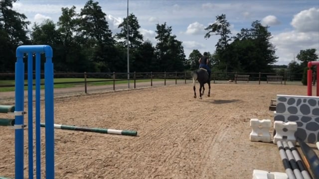 Working on the jumping technique