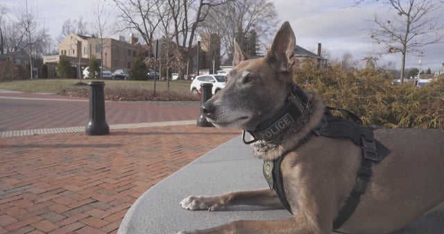 Westerville Police K9 Fiji Retires