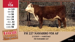 Lot #938 - FH 227 NAVARRO 938 AF