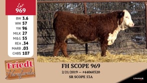 Lot #969 - FH SCOPE 969