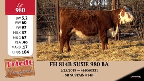 Lot #980 - FH 814B SUSIE 980 BA