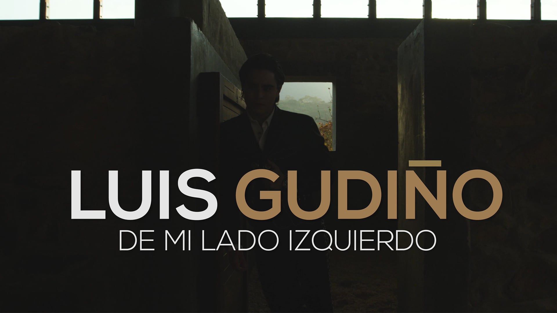 Luis Gudiño - De Mi Lado Izquierdo