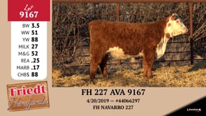 Lot #9167 - FH 227 AVA 9167