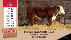 Lot #9128 - FH 227 NAVARRO 9128