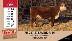 Lot #9126 - FH 227 STEFANIE 9126