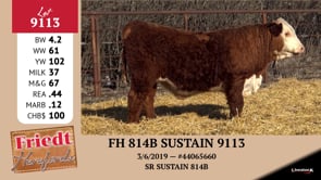 Lot #9113 - FH 814B SUSTAIN 9113