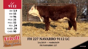 Lot #9112 - FH 227 NAVARRO 9112 LC