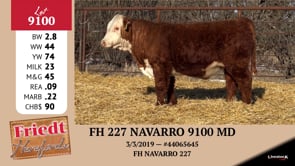 Lot #9100 - FH 227 NAVARRO 9100 MD