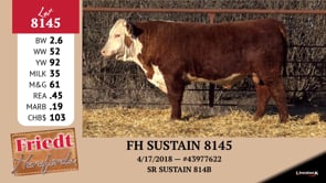 Lot #8145 - FH SUSTAIN 8145