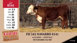 Lot #8141 - FH 242 NAVARRO 8141
