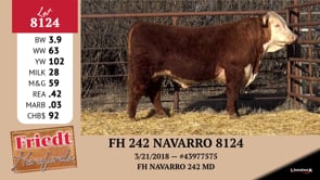 Lot #8124 - FH 242 NAVARRO 8124