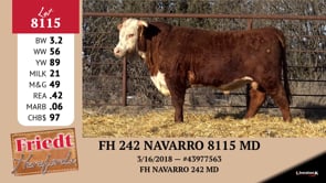 Lot #8115 - FH 242 NAVARRO 8115 MD