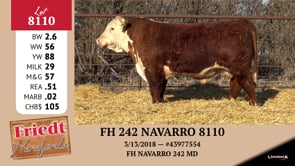 Lot #8110 - FH 242 NAVARRO 8110