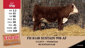 Lot #998 - FH 814B SUSTAIN 998 AF