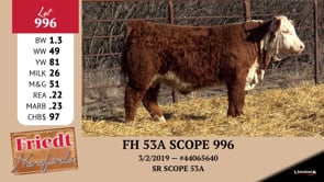 Lot #996 - FH 53A SCOPE 996