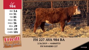 Lot #984 - FH 227 AVA 984 BA