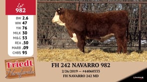 Lot #982 - FH 242 NAVARRO 982