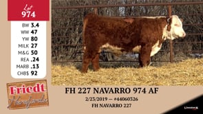 Lot #974 - FH 227 NAVARRO 974 AF