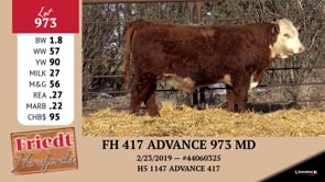 Lot #973 - FH 417 ADVANCE 973 MD