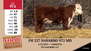 Lot #972 - FH 227 NAVARRO 972 MD