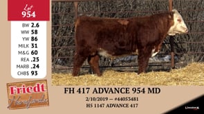 Lot #954 - FH 417 ADVANCE 954 MD