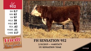 Lot #952 - FH SENSATION 952