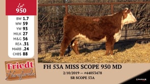 Lot #950 - FH 53A MISS SCOPE 950 MD