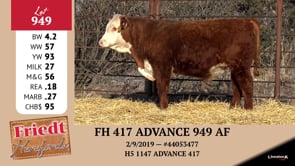 Lot #949 - FH 417 ADVANCE 949 AF