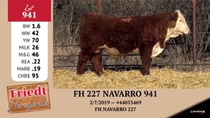 Lot #941 - FH 227 NAVARRO 941