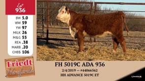 Lot #936 - FH 5019C ADA 936