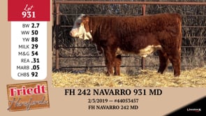 Lot #931 - FH 242 NAVARRO 931 MD