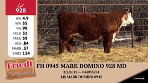 Lot #928 - FH 0945 MARK DOMINO 928 MD