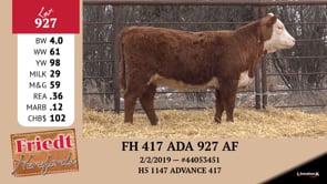 Lot #927 - FH 417 ADA 927 AF