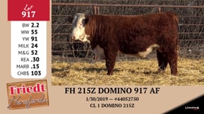Lot #917 - FH 215Z DOMINO 917 AF