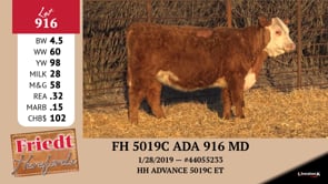 Lot #916 - FH 5019C ADA 916 MD