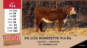 Lot #914 - FH 215Z DOMINETTE 914 BA