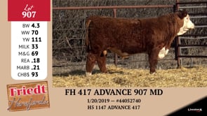 Lot #907 - FH 417 ADVANCE 907 MD