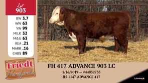 Lot #903 - FH 417 ADVANCE 903 LC