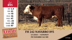 Lot #893 - FH 242 NAVARRO 893