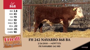 Lot #868 - FH 242 NAVARRO 868 BA