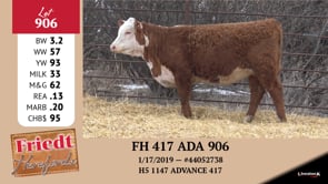 Lot #906 - FH 417 ADA 906