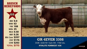 Lot #88 - GR 4EVER 3308