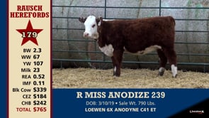 Lot #179 - R MISS ANODIZE 239