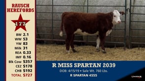 Lot #177 - R MISS SPARTAN 2039